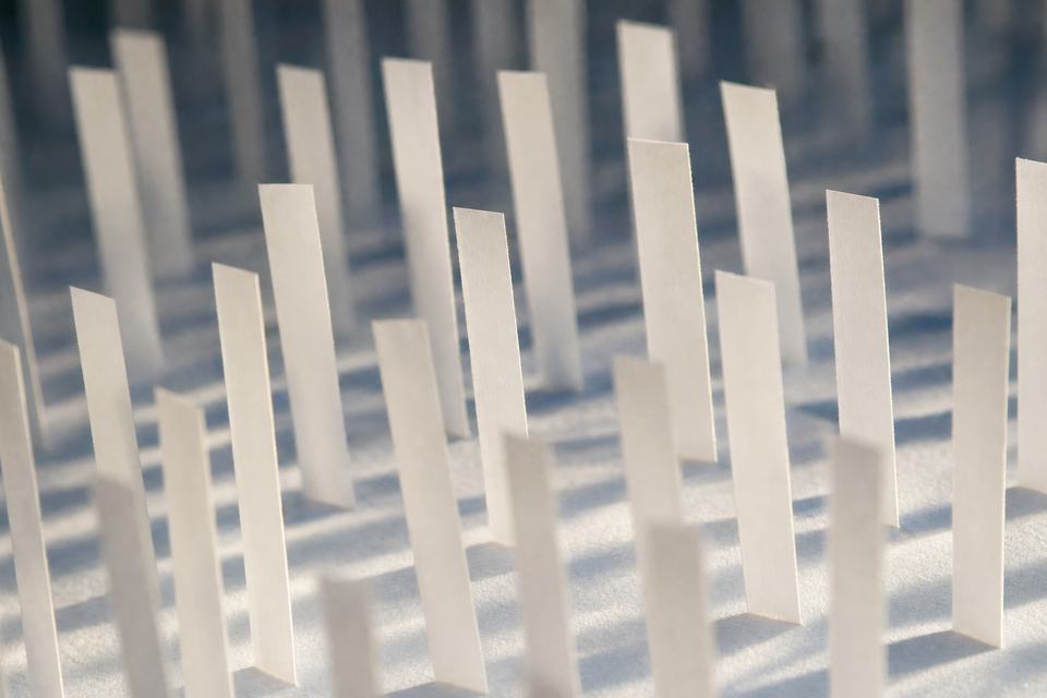 A field of thin blank paper strips standing upright on a paper plane at macro, casting fine parallel shadows under window light.